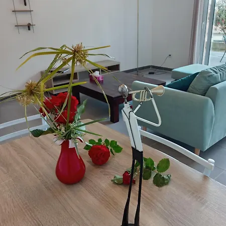 Haute-corse Bas De , 2 De 70 M2 , Vue , Jardin Et Terrasse Lägenhet Furiani