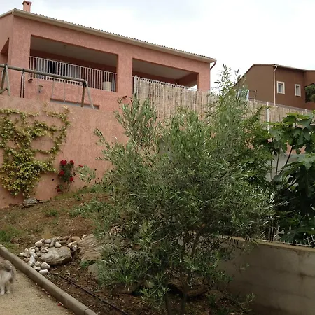 Haute-corse Bas De , 2 De 70 M2 , Vue , Jardin Et Terrasse Apartmán Furiani