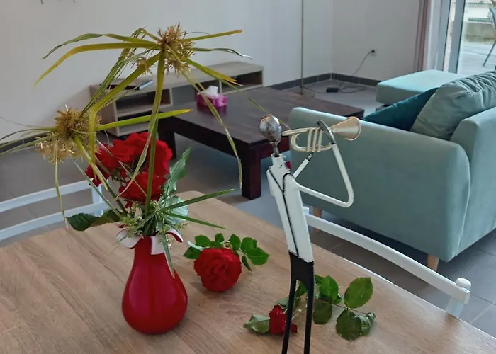 Haute-corse Bas De , 2 De 70 M2 , Vue , Jardin Et Terrasse Apartmán Furiani